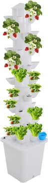 Hydrocultuur Systeem 45 gaten