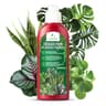 LERAVA Groenplant voeding