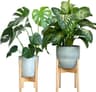 Gadgy Plantenstandaard