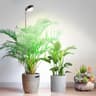Plantenlamp LED