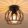 iDEGU Industriële hanglamp