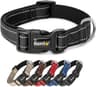 Lionto hondenhalsband