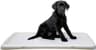 Kerbl Puppy Toilet XL