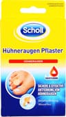 Scholl Maïsgips