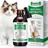 Natuurlijke antibiotica katten