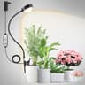 Plantenlamp LED met lens