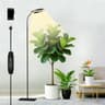 NIELLO plantenlamp